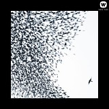 Wilco - Sky Blue Sky