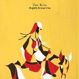 Tiny Ruins - Brightly Painted One