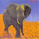 Foodbrain - Social Gathering