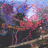 Animal Collective - Here Comes the Indian