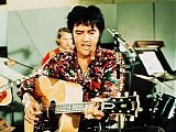 Various artists - That's The Way It Is (The Concert)