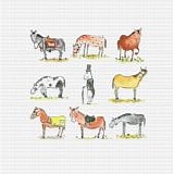 A Formal Horse - A Formal Horse