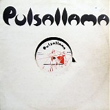 Pulsallama - The Devil Lives In My Husband's Body