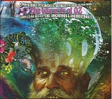 The Amorphous Androgynous - A Monstrous Psychedelic Bubble Exploding in Your Mind Vol.4: The Wizards of Oz