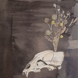 Steve Gunn & Black Twig Pickers - Seasonal Hire
