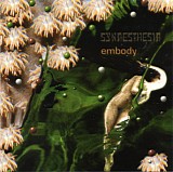 Synaesthesia - Embody