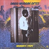 David Murray - Murray's Steps