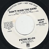 Peter Allen - Don't Wish Too Hard/Don't Wish Too Hard (US Promo)
