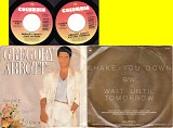 Gregory Abbott - Shake You Down/Wait Until Tomorrow (US Picture Sleeve)