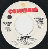 Aerosmith - You See Me Crying/You See Me Crying (US Promo)
