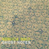 Veruca Salt - Ghost Notes