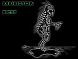 Rammstein - Biest