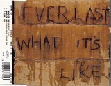 Everlast - What It's Like