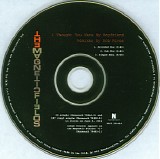 Magnetic Fields, The - I Thought You Were My Boyfriend