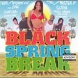 Various artists - Spring Break