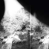 Godspeed You Black Emperor! - Asunder, Sweet And Other Distress
