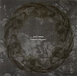 Torch Runner - Committed To The Ground
