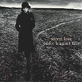 Eddie Higgins - Secret Love