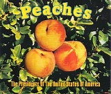 The Presidents of the United States of America - Peaches
