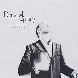 David Gray - Foundling