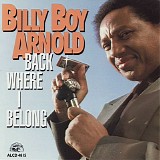 Billy Boy Arnold - Back Where I Belong