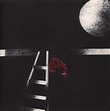 Roy Montgomery - Two Trajectories