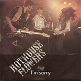 Hothouse Flowers - I'm Sorry