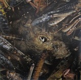 Hessian - MÃ nÃ©garmr