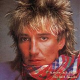 Rod Stewart - Picture In A Frame: The Best Ballads