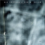 Nik BÃ¤rtsch's Ronin - Holon