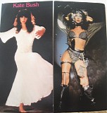 Kate Bush - Live In Bristol England 1979