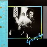 Gazebo - Gazebo