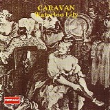 Caravan - Waterloo Lily