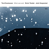 Tord Gustavsen Trio - What Was Said