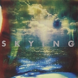 The Horrors - Skying