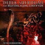 Derek Sherinian - In The Summertime