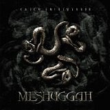 Meshuggah - Catch Thirtythree