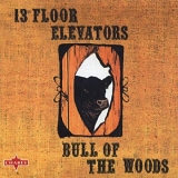 13th Floor Elevators, The - Bull Of The Woods