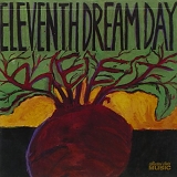 Eleventh Dream Day - Beet