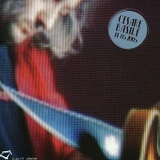 Basile Cesare - CESARE BASILE - LIVE