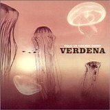 Verdena - Solo Un Grande Sasso