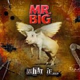 Mr. Big - What If... (Special Edition)