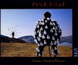 Pink Floyd - Delicate Sound Of Thunder