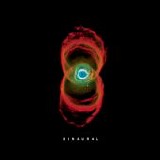 Pearl Jam - Binaural
