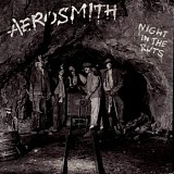 Aerosmith - Night In The Ruts