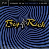 Big & Rich - Horse Of A Different Color