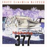 Cross Canadian Ragweed - Highway 377