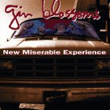 Gin Blossoms - Gin Blossoms