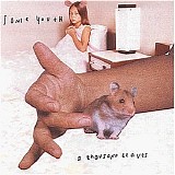 Sonic Youth - A Thousand Leaves