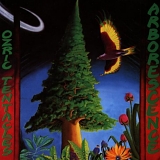 Ozric Tentacles - Arborescence